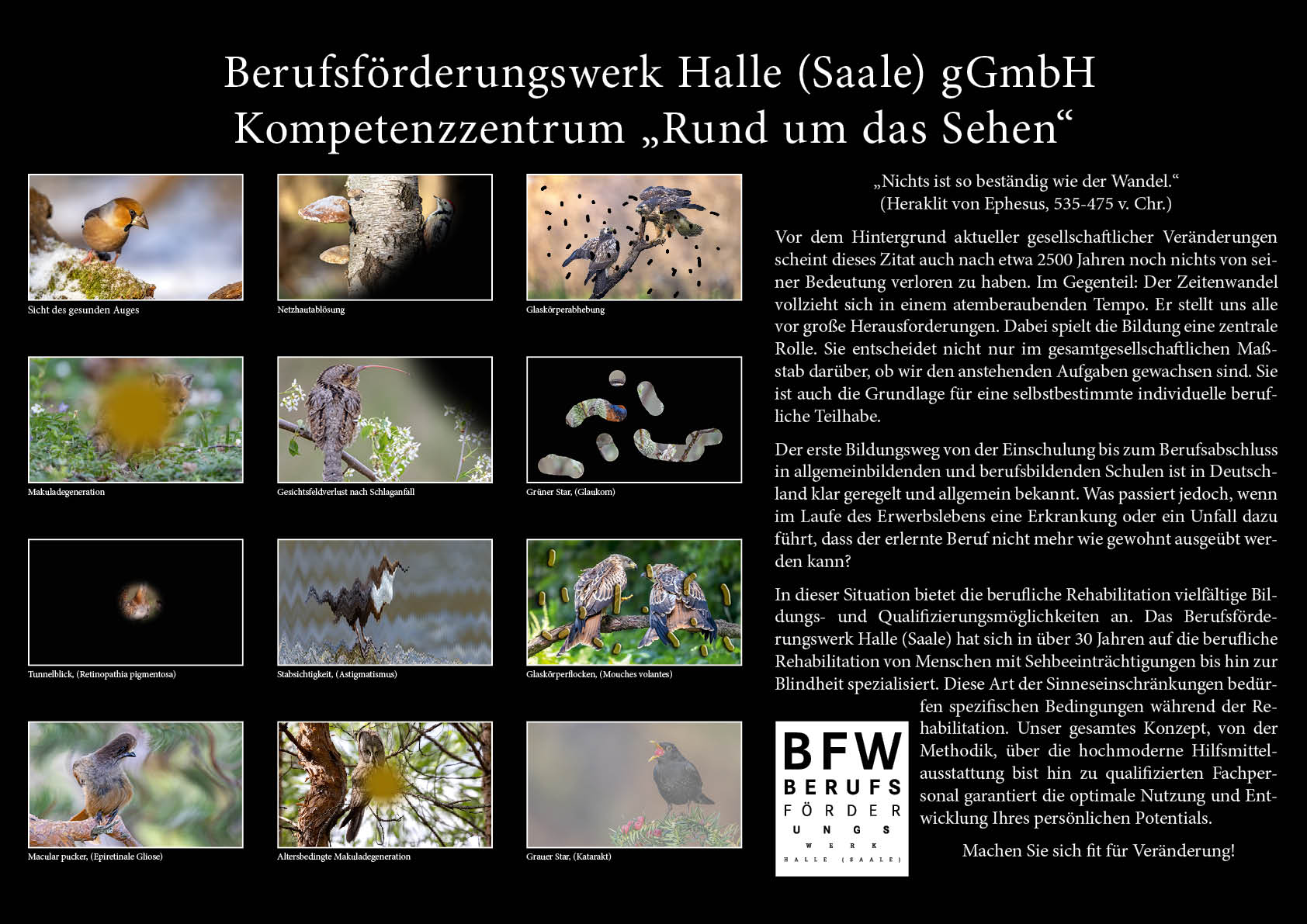 Kalender 2023 Rückseite mit der Übersicht der Augenerkrankungen Kalender 202314