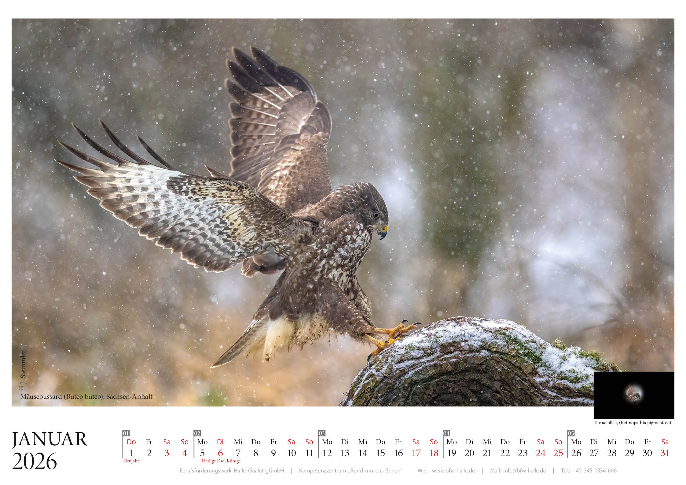 Kalenderblatt Januar