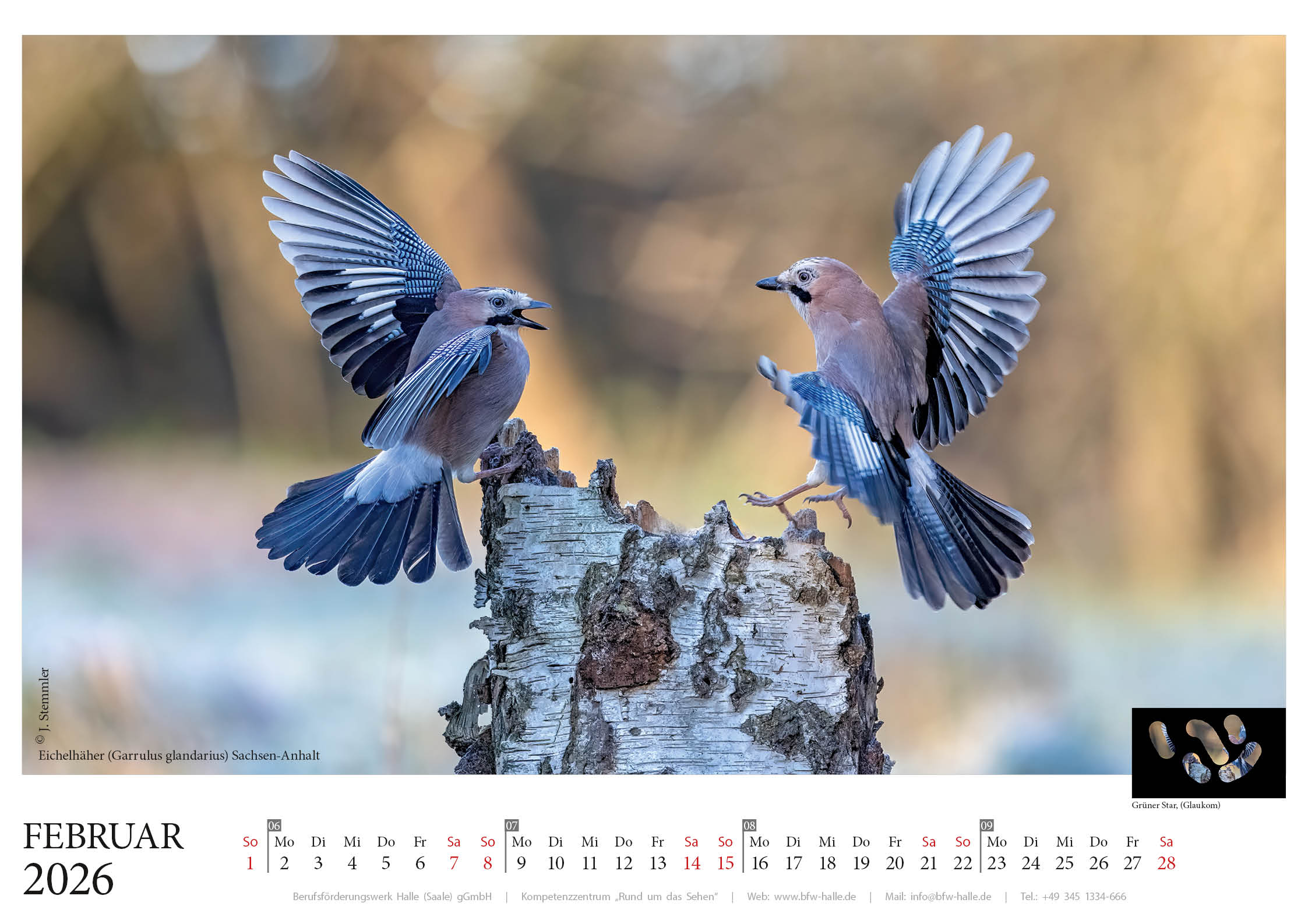 Kalenderblatt Februar